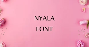 nyala font feature 310x165 - Nyala Font Family