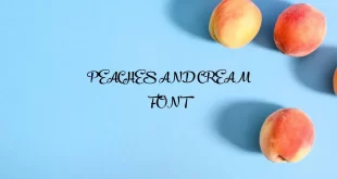 peaches and cream font feature 310x165 - Peaches And Cream Font Free Download