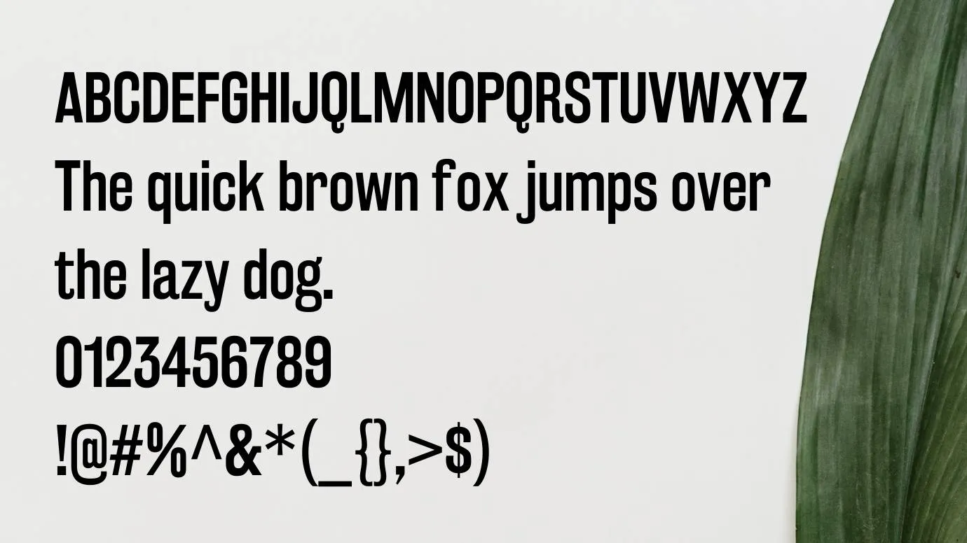 Rakesly Font