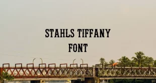 stahls tiffany font feature 310x165 - Stahls Tiffany Font Free Download