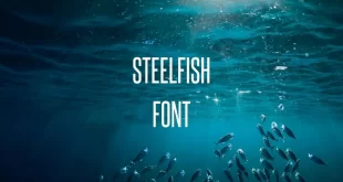 steelfish regular font feature 310x165 - Steelfish Font Free Download