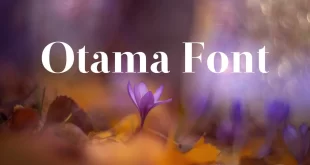 otama font feature 310x165 - Otama Font Free Download