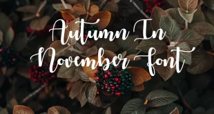 Autumn In November Font