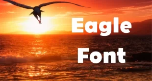 Eagle Font