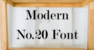 Modern No.20