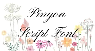 Pinyon Script Font