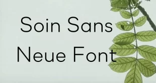 Soin Sans Neue Font