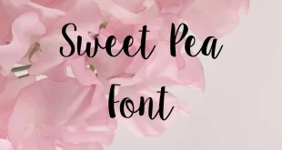 Sweet Pea Font