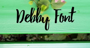 Debby Font