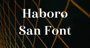 Haboro Sans Font