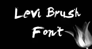 Levi Brush Font