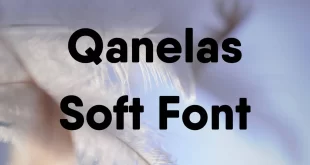 Qanelas Soft Font