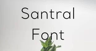 Santral Font