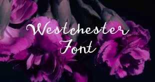 Westchester Font