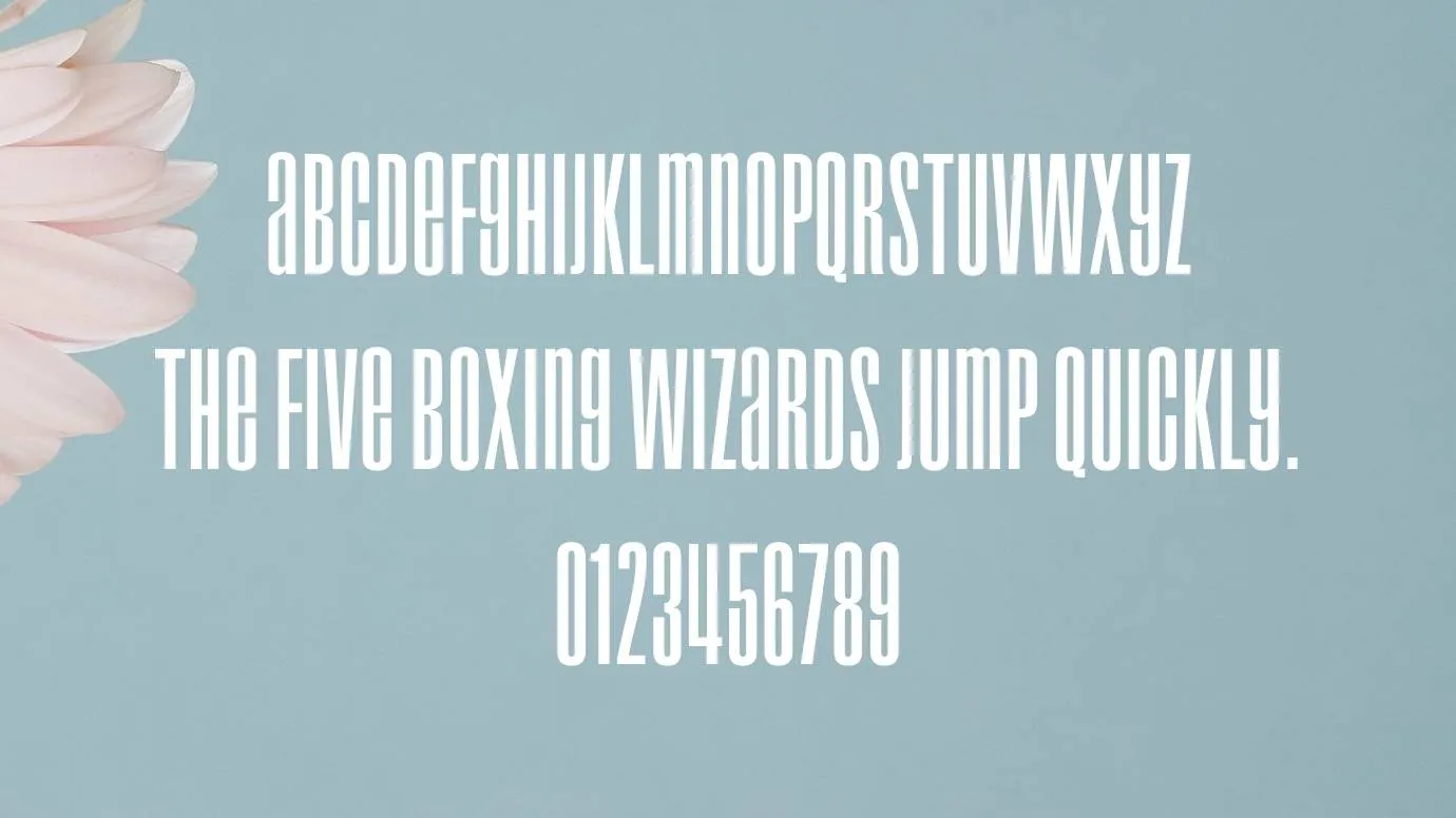 Droid Font