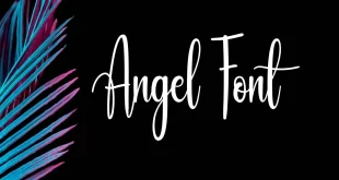 Angel Font