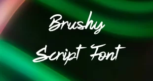 Brushy Script Font