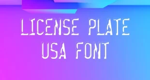 License Plate USA Font