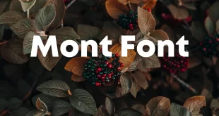 Mont Font