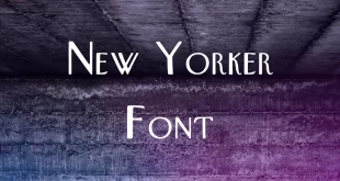 New Yorker Font