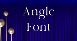 Angle Font