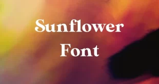 Sunflower Font