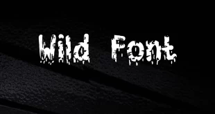 Wild Font