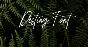 Destiny Font