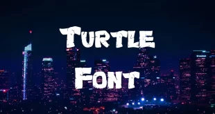 Turtle Font