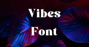 Vibes Font