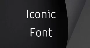 Iconic Font