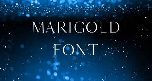 Marigold Font