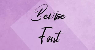 Bewise Font