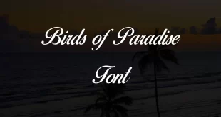 Birds Of Paradise Font