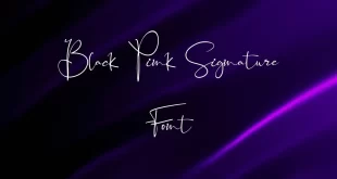 Black Pink Signature Font