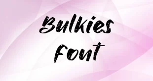 Bulkies Font