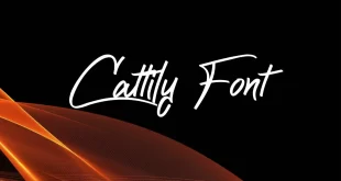 Cattily Font