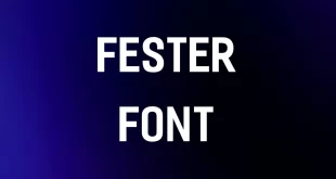 Fester Font