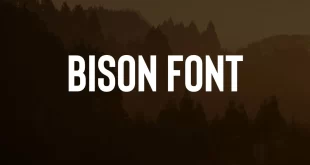 Bison Font