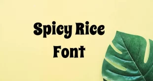 Spicy Rice Font