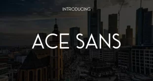 Ace Sans Font