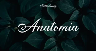 Anatomia Font