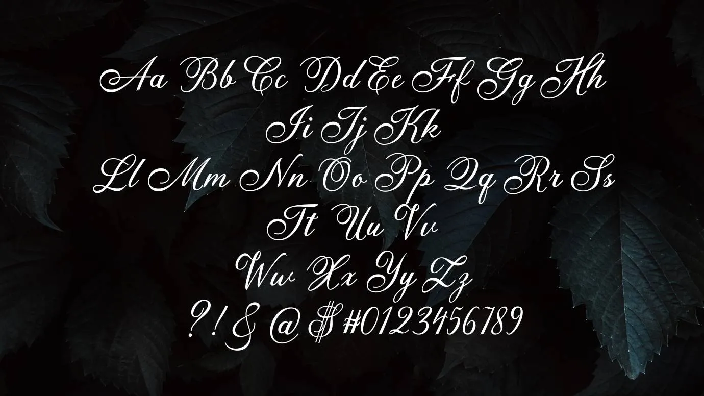 Anatomia Font