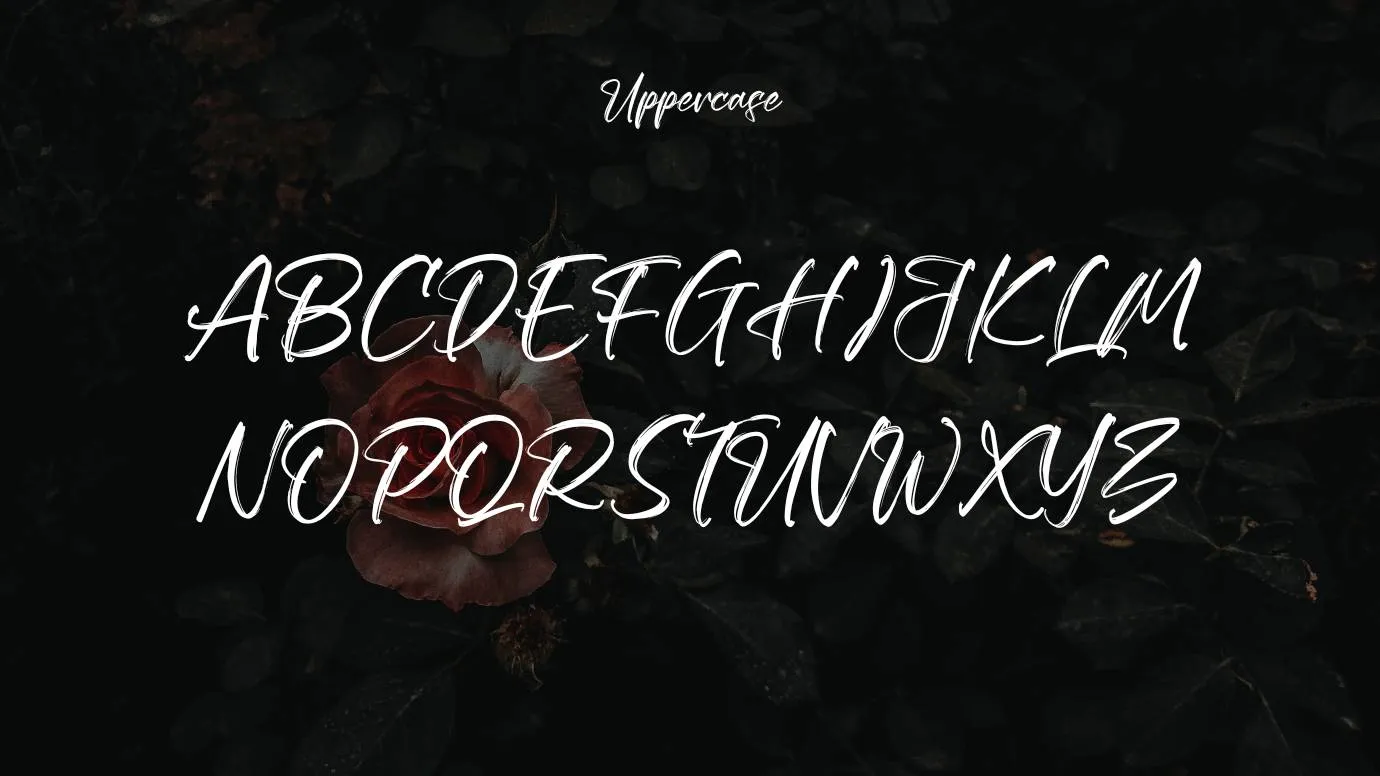 Blacklife Font