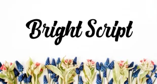 Bright Script Font