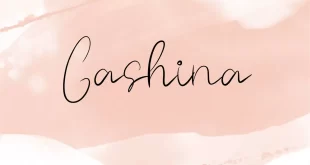 Gashina Font