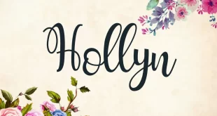 Hollyn Font