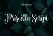 Priscilla Script Font