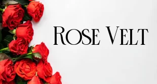 Rose Velt Font