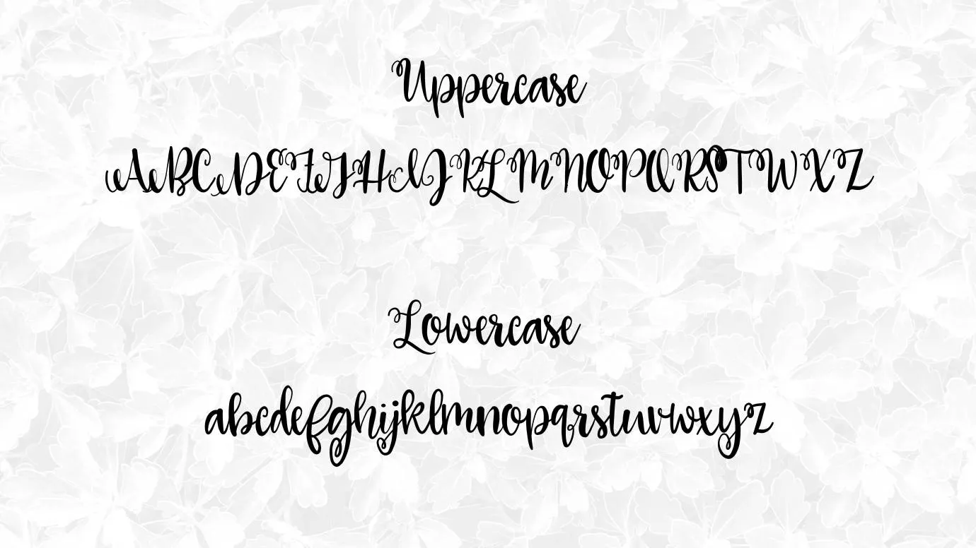 The Lolly Font